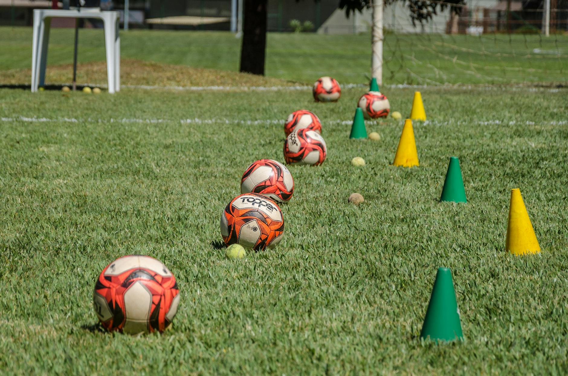 sports training fundamentals